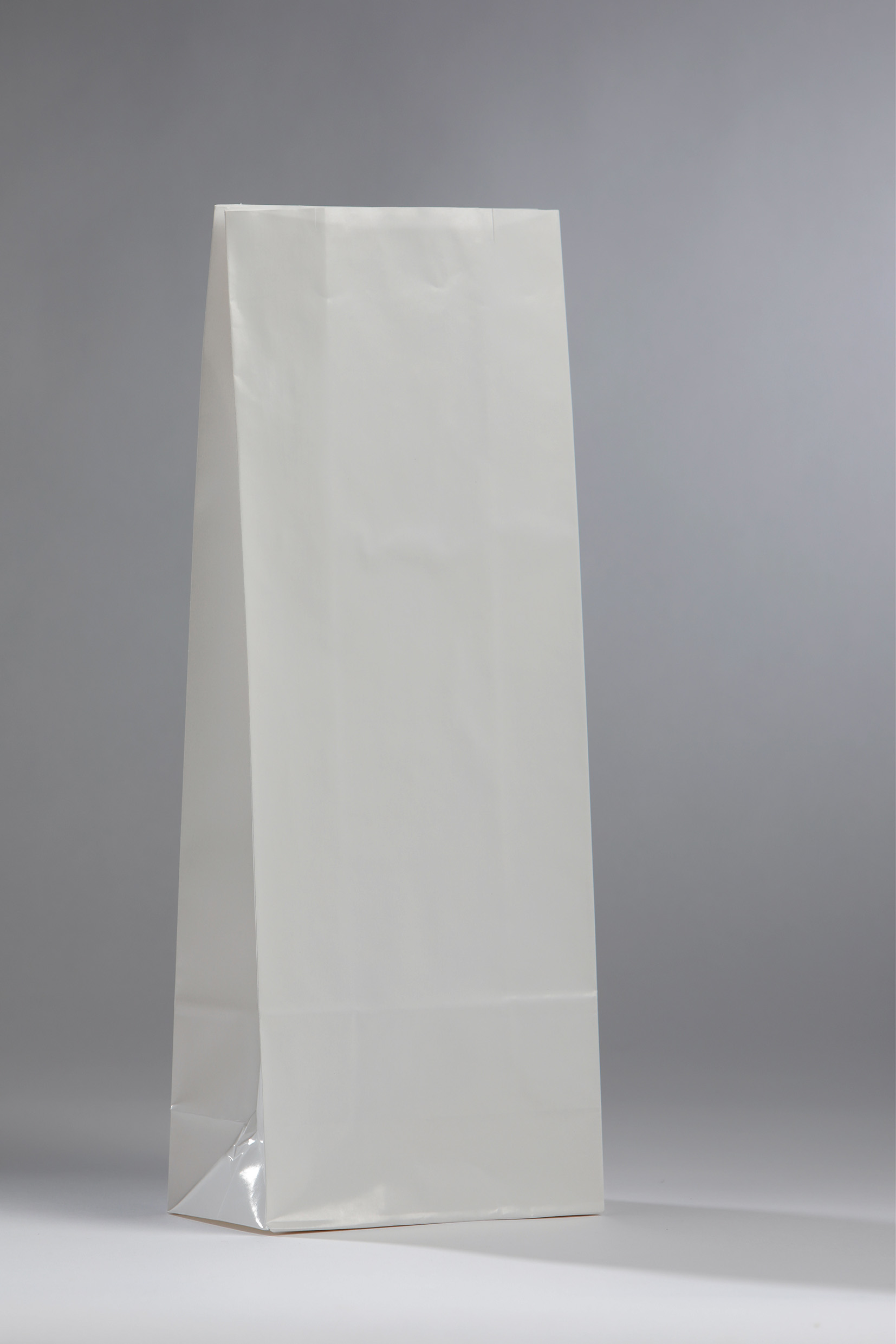 Glossy White paper bags with OPP