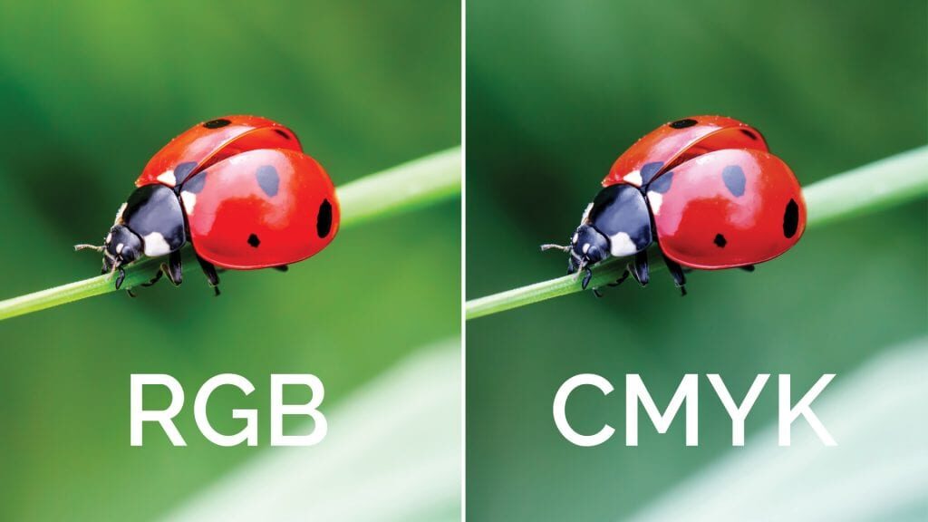 RGM-vs-CMYK-With-Ladybugs-1024x576